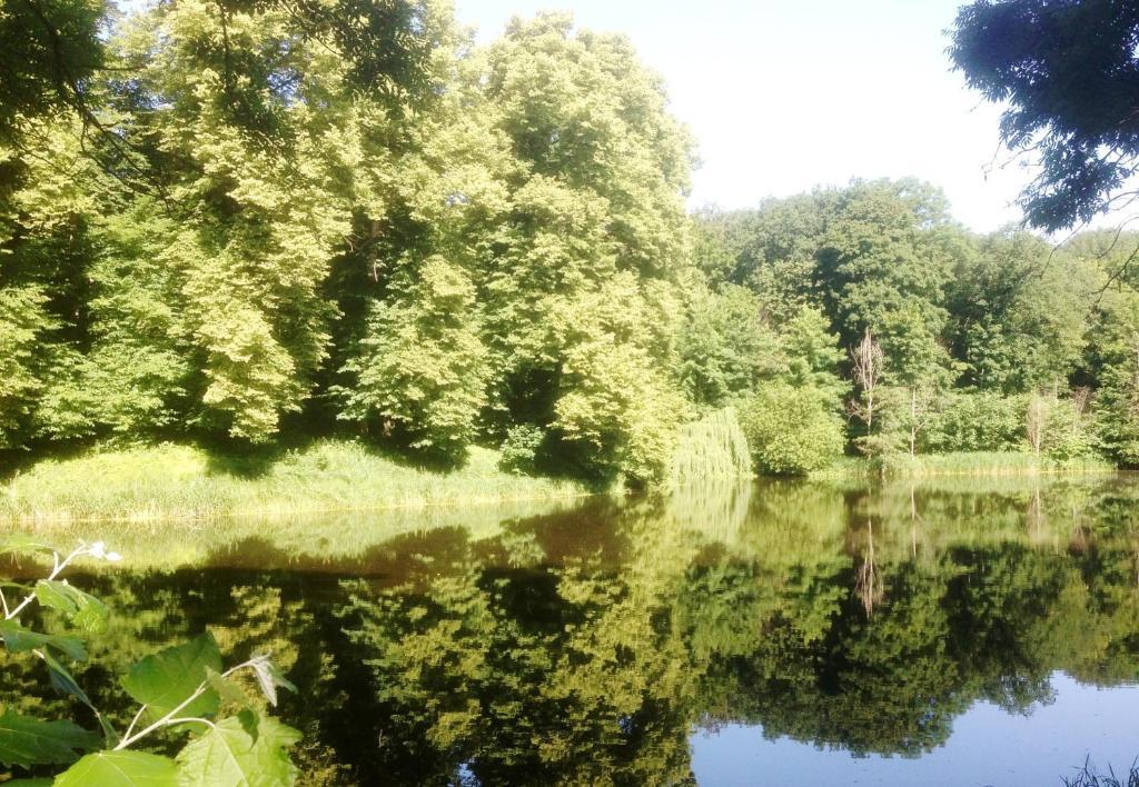 Carmina am See Karnin  Exterior foto